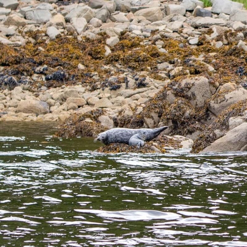 Ketchikan: Private Customizable Boat Tour with Captain Jack - Practical Details and Accessibility Considerations