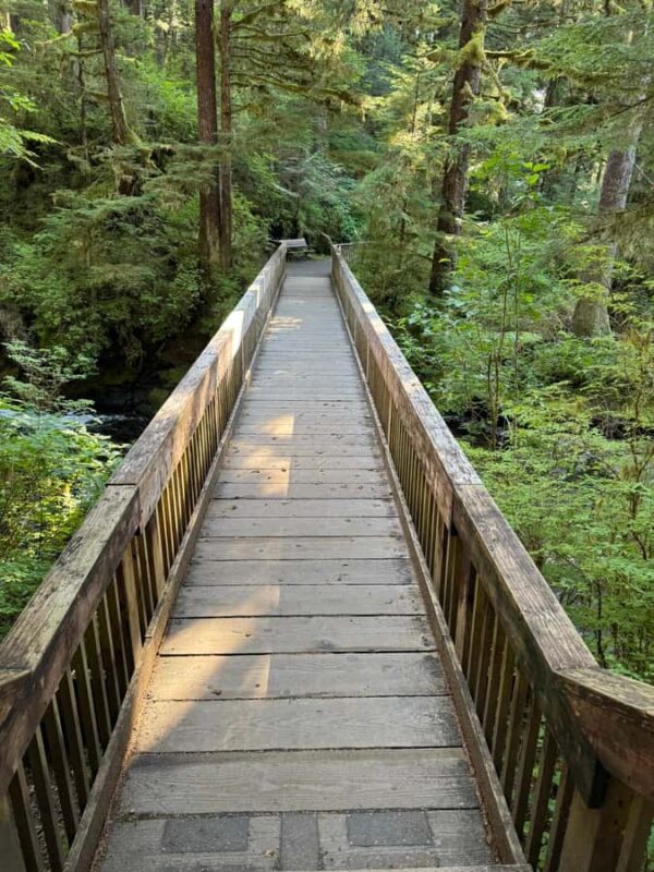 Ketchikan: Private Rainforest Hike with Cruise Pickup - Ideal for Small Groups and Family Experiences