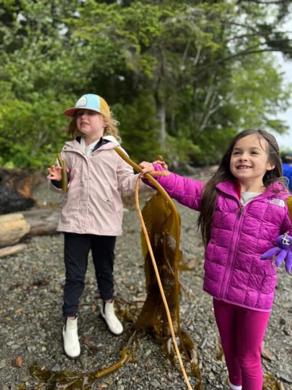 Ketchikan: Private Tours suitable for all ages! - Explore Ketchikans Wildlife, Waterfalls, and Cultural Sites in a Private Tour