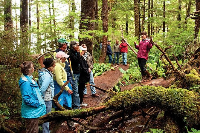Ketchikan Rainforest Canoe and Nature Walk - Canoeing in a Native American-Style Traditional Canoe