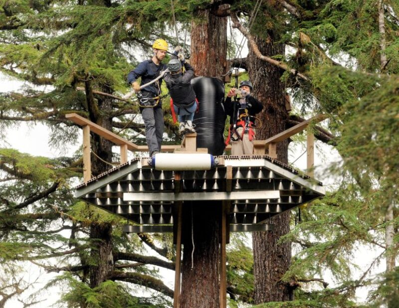 Ketchikan: Rainforest Canopy & Zipline Adventure - Cultural and Historic Highlights at Tsimshian Totem Park