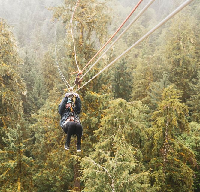 Ketchikan: Rainforest Canopy & Zipline Adventure - Tour Guides and Group Size