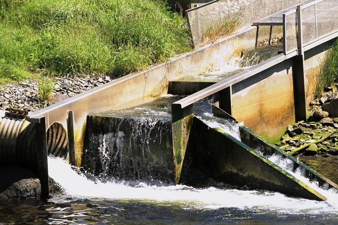 Ketchikan Rainforest Sanctuary and Totem Park - Logistics and Group Size