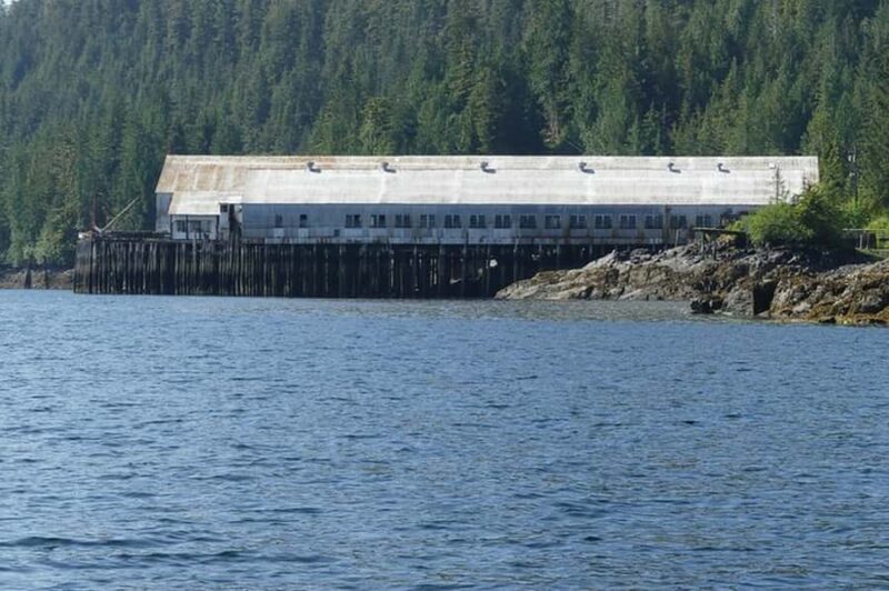 Ketchikan: Scenic Drive & George Inlet Fjords Zodiac Cruise - Wildlife Viewing and Nature Highlights