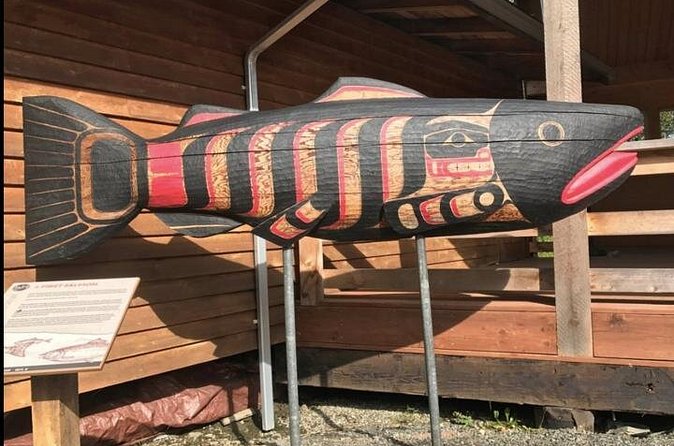 Ketchikan Shore Excursion: Eagle Sanctuary and Rainforest Wildlife Center - Wildlife Viewing: What Can You Expect?