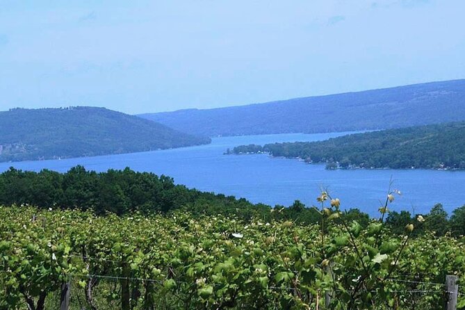 Keuka Lake Winery Tour - Explore the Keuka Lake Winery Tour for a Scenic, Guided Experience