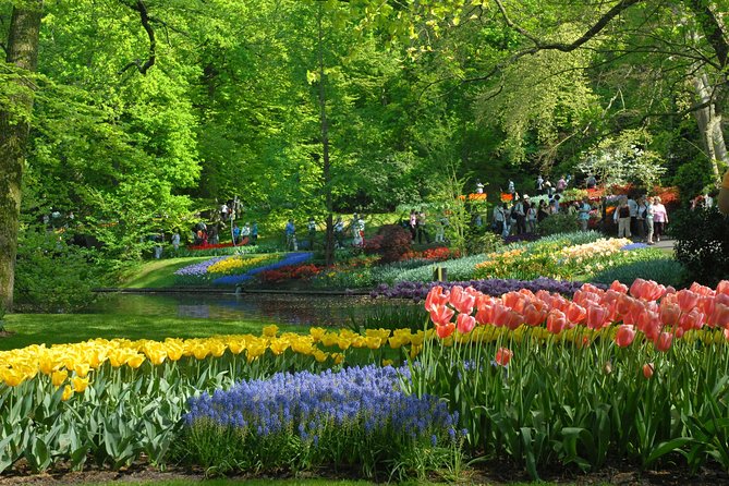 Keukenhof and Flower Fields Private Tour from Amsterdam - Flexibility with Departure Times and Schedule