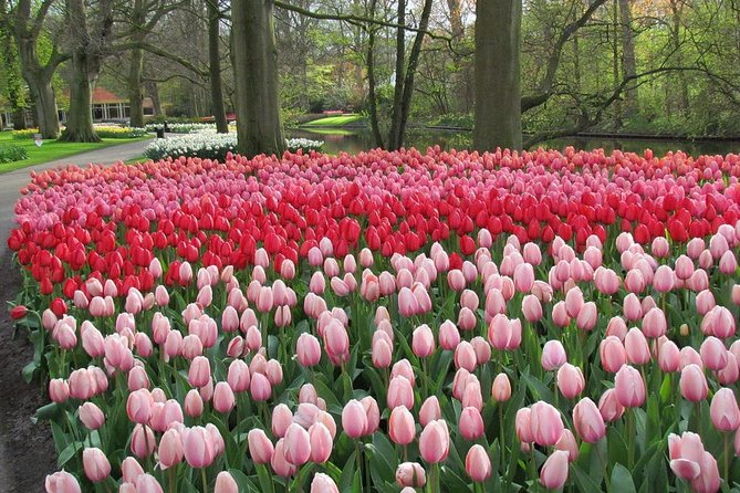 Keukenhof and Flower Fields Private Tour from Amsterdam - Cost and Inclusions: What’s Covered and What’s Not