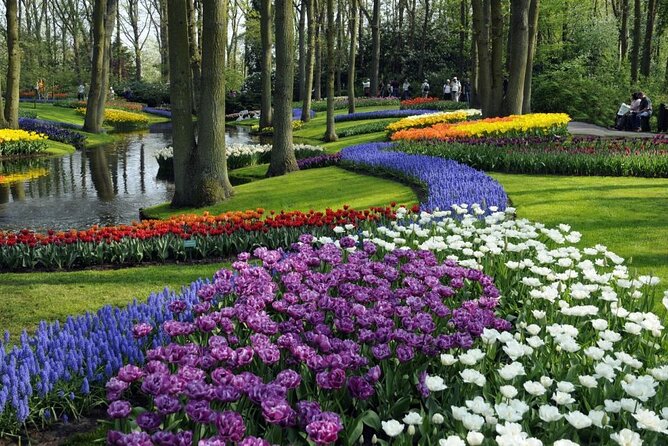 Keukenhof Entry Ticket plus Round-Trip Shuttle Bus from Amsterdam - The Scenic Journey to Lisse and the Tulip Fields