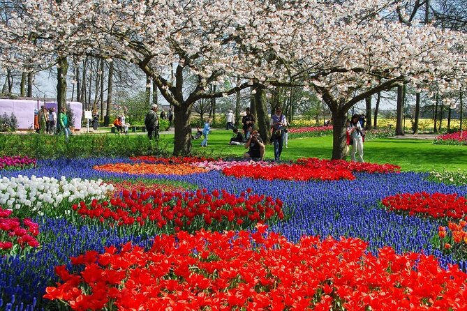 Keukenhof Entry Ticket plus Round-Trip Shuttle Bus from Amsterdam - Entry to Keukenhof Gardens with Fast-Track Admission