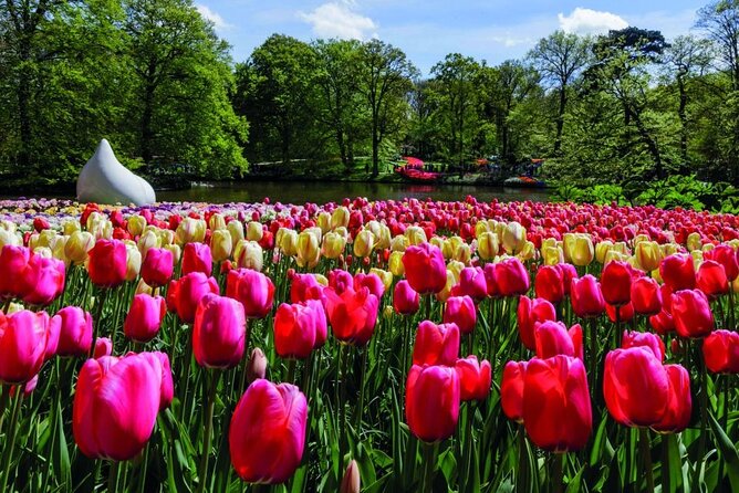 Keukenhof Entry Ticket plus Round-Trip Shuttle Bus from Amsterdam - Independent Exploration in Keukenhof for 6 Hours