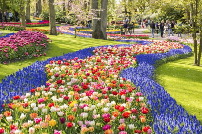 Keukenhof: Flower Fields Small-Group Cultural Bike Tour - Practical Details: Logistics and Group Size