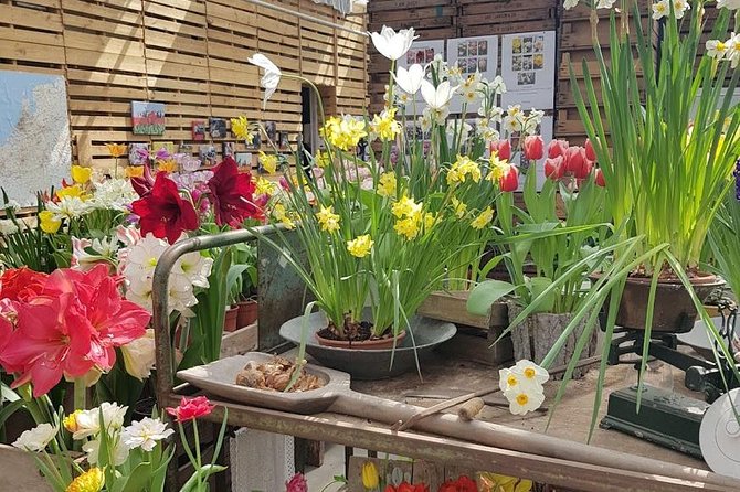 Keukenhof & FlowerFarm Tour From Amsterdam Skip-The-Line tickets - Optional Extension to Noordwijk Beach