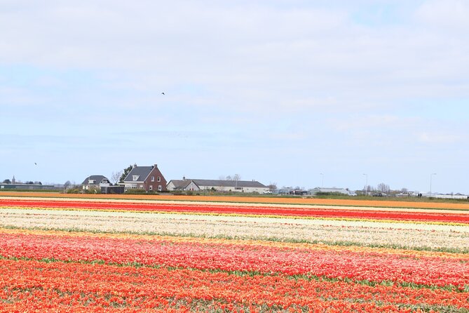 Keukenhof Gardens and Delft Guided Tour from Amsterdam - Logistics: Meeting Point and Group Size