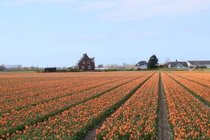 Keukenhof Gardens and Delft Guided Tour from Amsterdam - The Value and Limitations of the Tour