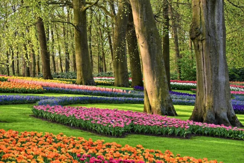 Keukenhof Gardens and Tulip Experience Tour from Amsterdam - Exploring the Keukenhof Gardens and Tulip Experience Tour from Amsterdam