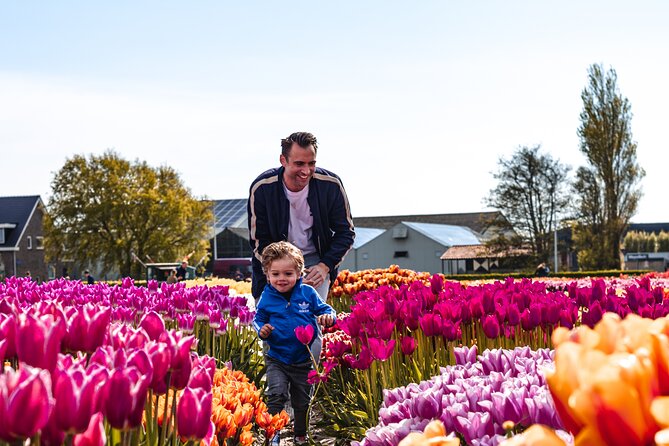 Keukenhof Gardens and Tulips Private Tour from Amsterdam - Key Points