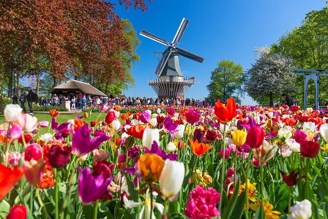 Keukenhof Gardens with Windmill Cruise & Transfer from Amsterdam - The Experience of the Windmill and Countryside Views