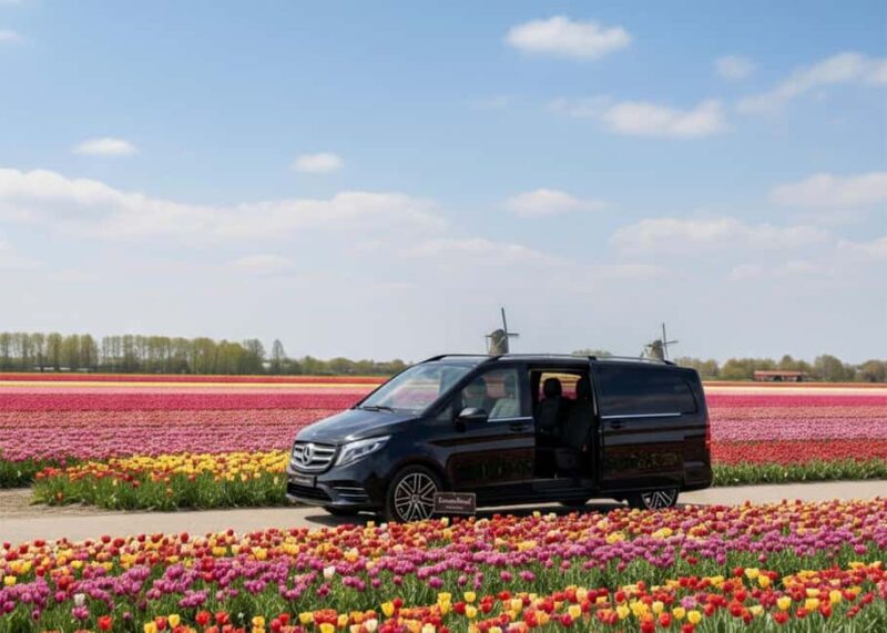 Keukenhof Luxury Private tour w. Canal Cruise. - Explore Holland’s Iconic Tulip Fields in Style with a Private Keukenhof Tour