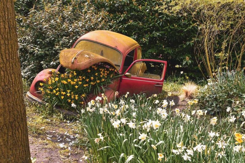 Keukenhof Luxury Private tour w. Canal Cruise. - Exploring Keukenhof Gardens at Your Own Pace