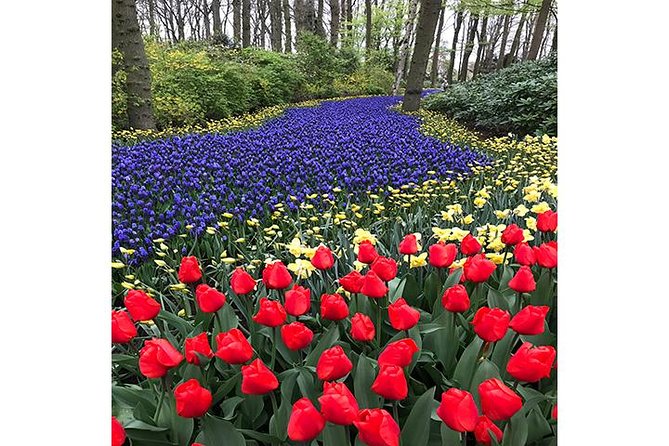 Keukenhof Private Floral Tour from Amsterdam - Keukenhof: The World’s Largest Flower Garden