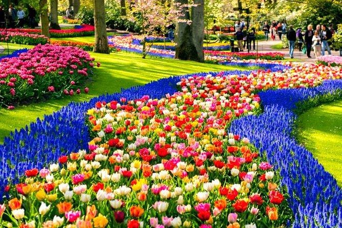 Keukenhof Skip-the-line Tickets: Countryside & Farm Private Tour - Explore the Dutch Countryside in Style with a Private Tour