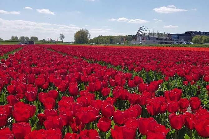 Keukenhof Skip-the-line Tickets: Countryside & Farm Private Tour - Included Amenities and Added Comfort