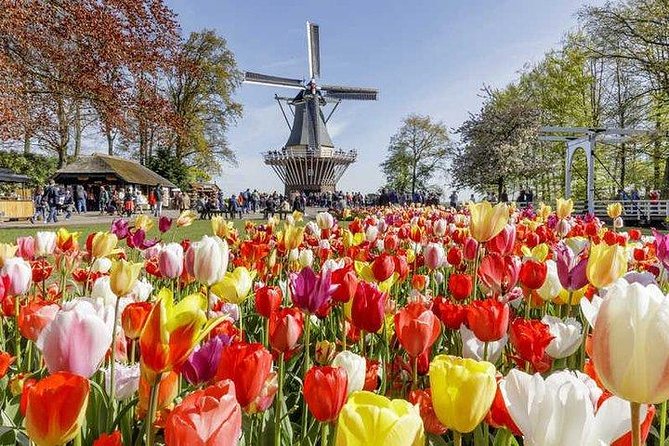 Keukenhof Skip-the-line Tickets: Countryside & Farm Private Tour - Who Will Enjoy This Tour Most?