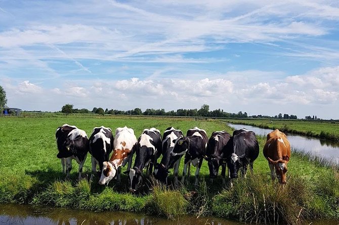 Keukenhof Skip-the-line Tickets: Countryside & Farm Private Tour - Frequently Asked Questions