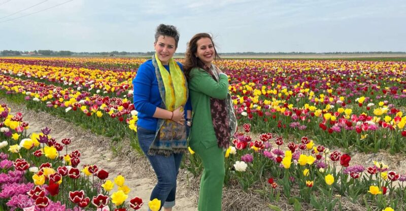 Keukenhof, Tulip Farm, Flower Fields & Windmills - Discover the Dutch Beauty with a Private Day Tour in South Holland