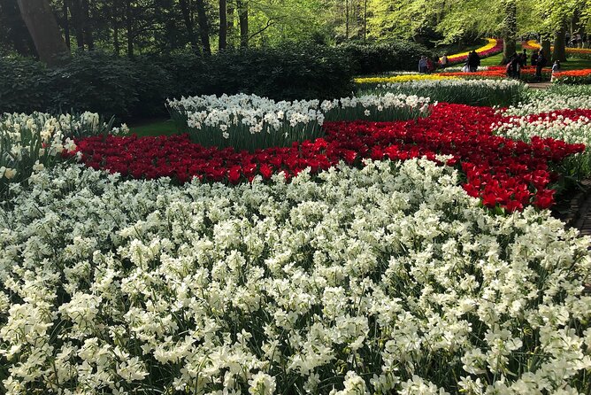 Keukenhof, Tulip Farm, Flower Fields & Zaanse Schans Windmills - Key Points