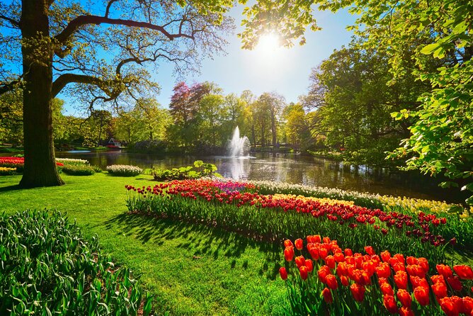 Keukenhof Tulip Garden Tour - Why This Tour Offers Great Value for Flower Enthusiasts