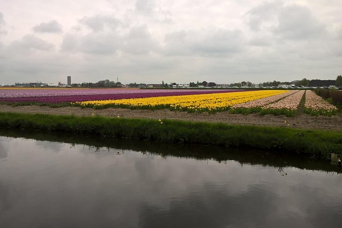 Keukenhof's Tulips and Windmills Small-Group Tour from Amsterdam - Practical Considerations: Tour Pacing and Crowd Management
