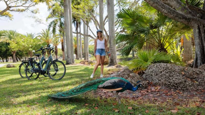 Key Biscayne: Self-Guided E-bike Tour - Experience Quality and Customer Satisfaction