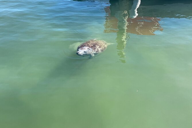 Key Largo Bay Sunset Tour - What Sets This Tour Apart