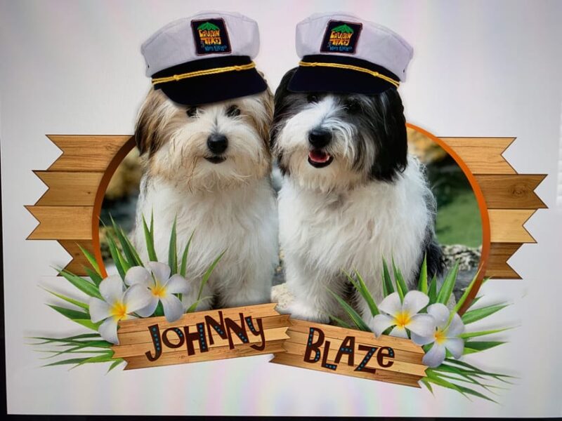 Key Largo: Cruisin' Tikis Key Largo - Day Cruise - What’s Included in the Cruise