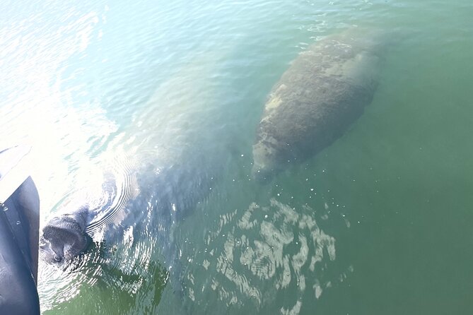 Key Largo Day Tour - The Private Boat Rental Experience in Key Largo