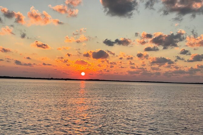 Key Largo Day Tour - What Wildlife Will You See in Key Largo?
