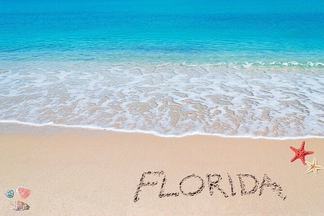 Key Largo Private Transfers (up to 14 passengers) - Who Should Consider This Service?