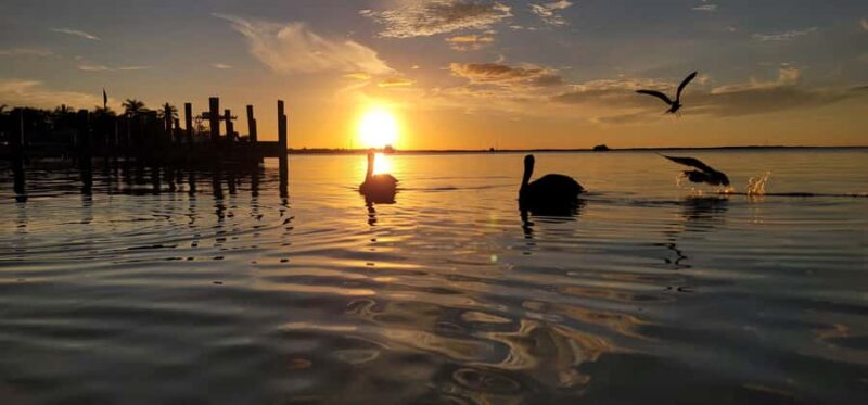 Key Largo: Sunset Tour  Drive Your Mini Pontoon + Beach - Driving Your Beginner-Friendly Mini Pontoon Boat