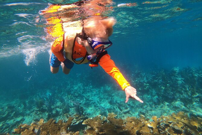 Key Largo Two Reef Snorkel Tour - All Snorkel Equipment Included! - Practical Details and Booking Tips