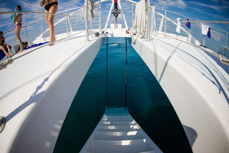 Key West: 2 Reef Snorkel With Sunset Cruise, Includes Drinks - Convenient Meeting Point and Logistics