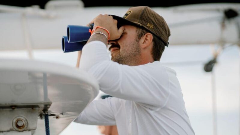 Key West: Afternoon Catamaran Sail and Dolphin Watch - Comparing Similar Eco and Scenic Tours in Key West