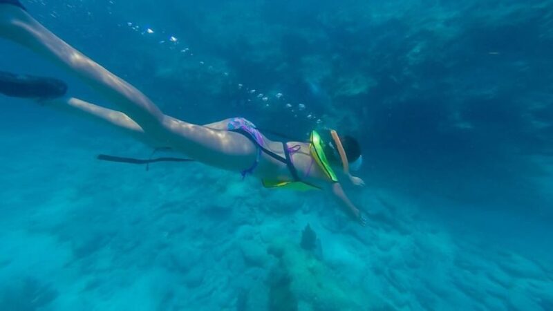 Key West: Afternoon Reef Snorkel Tour with Open Bar - The Experience Provider and Booking Flexibility