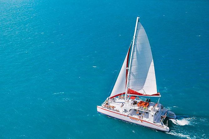 Key West Afternoon Reef Snorkeling with Open Bar - Exploring the Vibrant Marine Life of Key West’s Living Reef