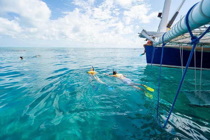 Key West Afternoon Snorkel Sail with Unlimited Cocktails! - All-You-Can-Drink Soft Drinks, Wine, and Beer
