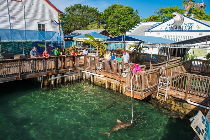 Key West Aquarium Admission - Educational and Interactive Highlights