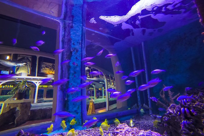 Key West Aquarium Admission - Limitations and Considerations