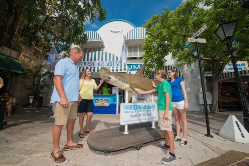 Key West Aquarium Tickets - Hands-On Encounters at the Touch Tank