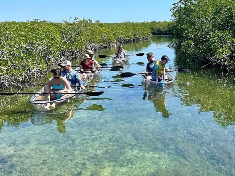 Key West Area: Guided Clear Kayak Eco-Tour - Explore the Florida Keys in a Clear Kayak with Expert Guidance